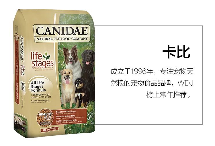 当狗炫起富来根本没人什么事儿了