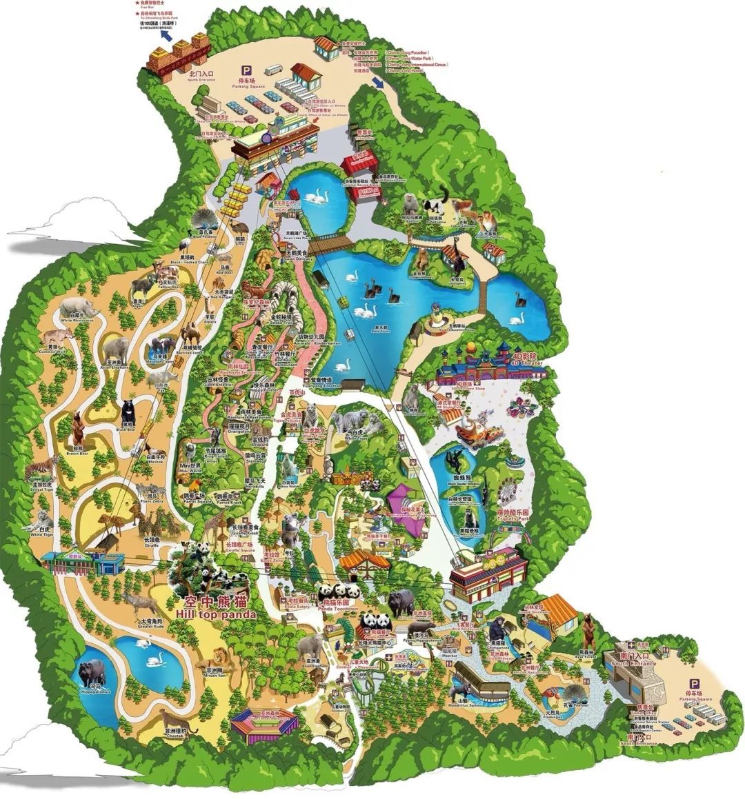 广州长隆野生动物园亲子跟拍,爸爸去哪儿广州长隆野生动物园