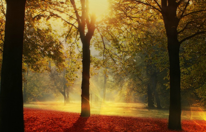 孟子说穷则独善其身达则兼善天下,孟子经典语录穷则独善其身