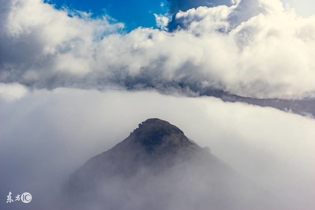 农谚俗语和天气预报哪个更靠谱,农村大雾是什么原因