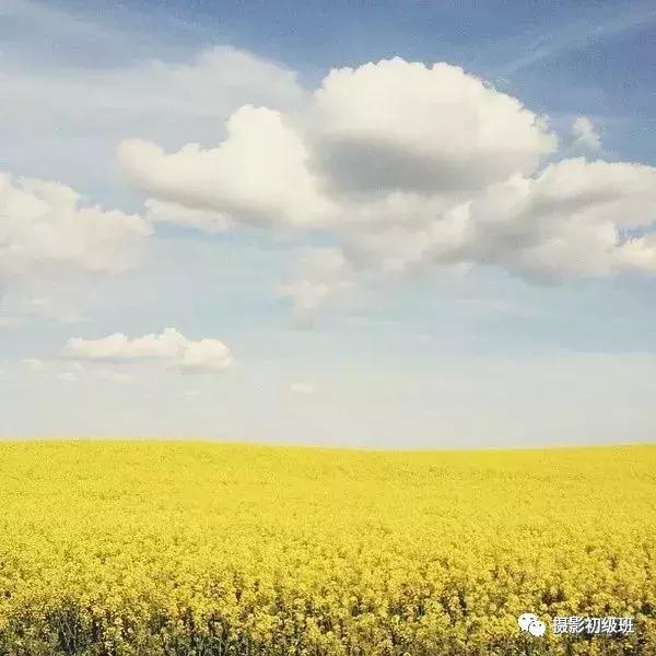 手机如何拍好极简风格的摄影作品,6个简单易懂的手机摄影技巧