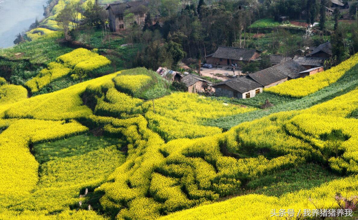 农业政府补贴项目申报流程,农业综合开发农业部项目申报指南