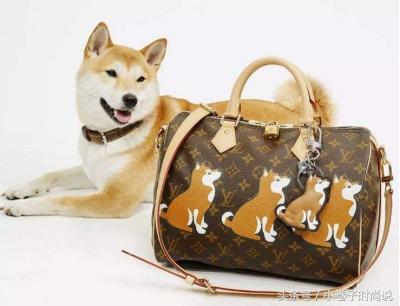 奢侈大牌的狗年限定款，最美的都在这里了