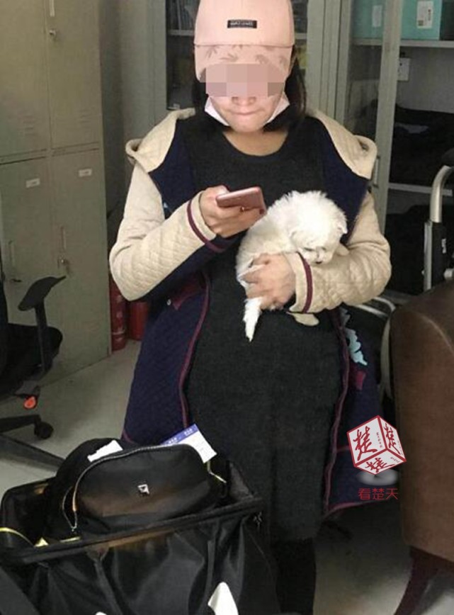 硅胶假肚子孕妇装,怀孕硅胶假肚子测评孕味十足