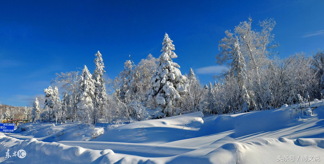 古诗人面桃花诗句,古诗人面桃花的诗句