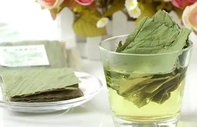 荷叶能够防治心血管疾病？