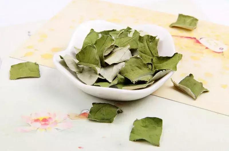 荷叶能够防治心血管疾病？