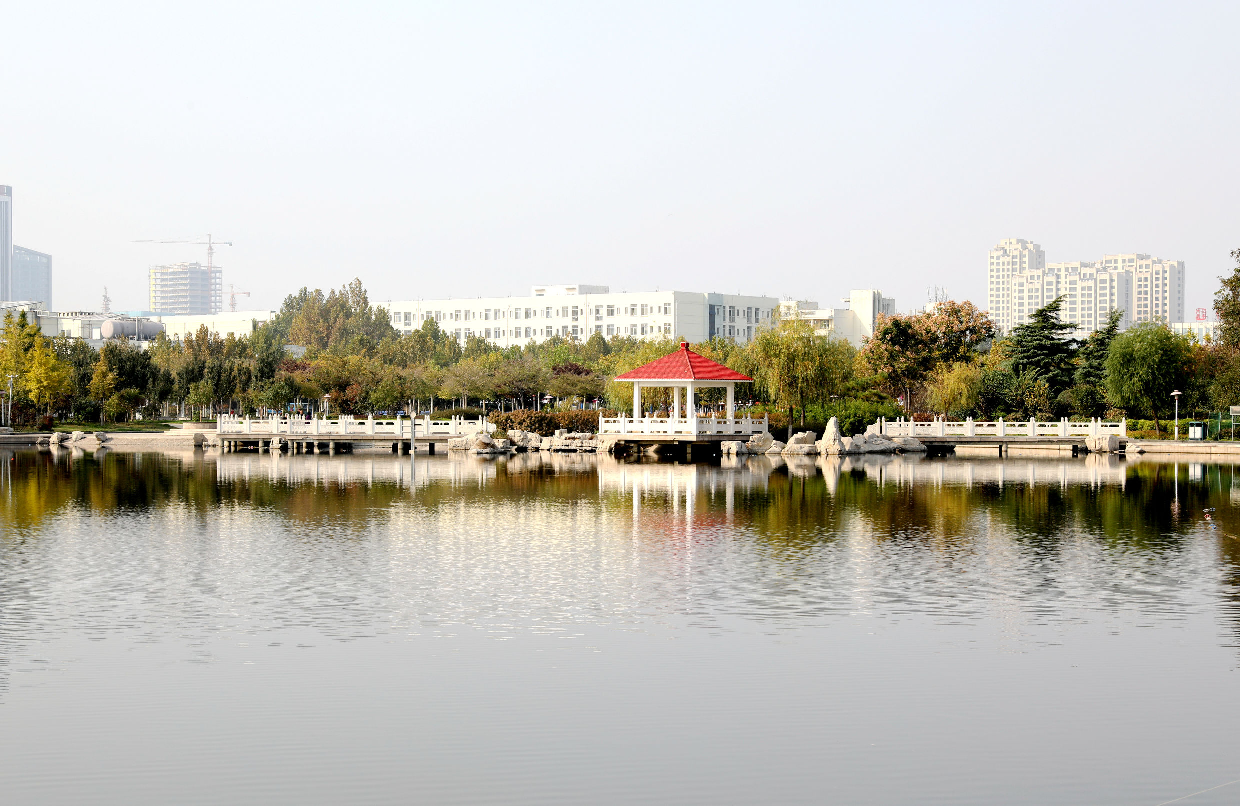 最高超3万，还有1:1配套，山理工发文资助研究生出国学习交流