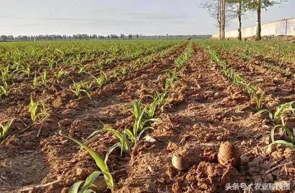 学农技种好地,土壤墒情怎么检测的