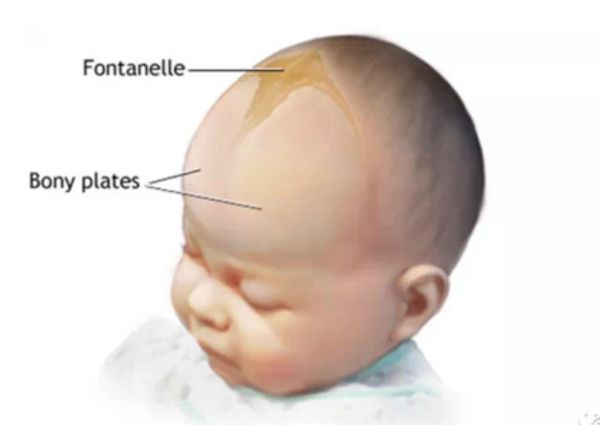 宝宝4个部位再脏也不能洗,新生儿怎么洗才正确
