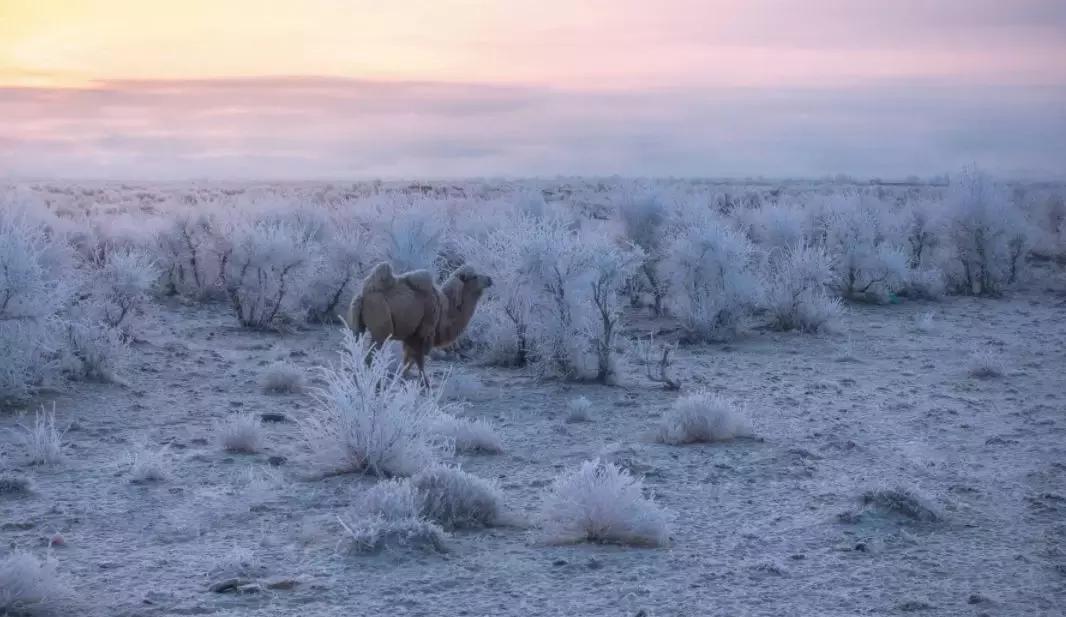 哪款四驱车性能和性价比高,最强四驱suv的燃油经济性怎么样