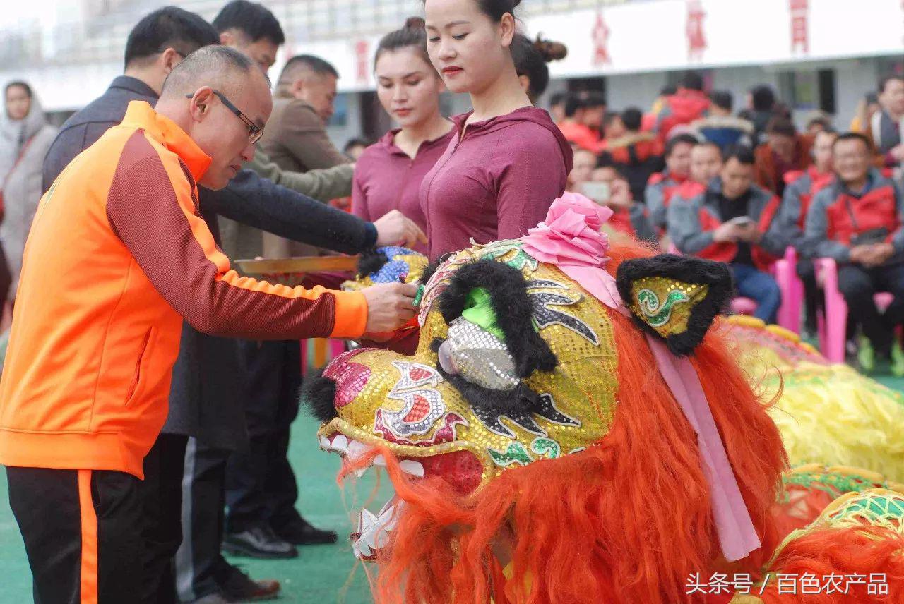 田阳足球队,田阳足球