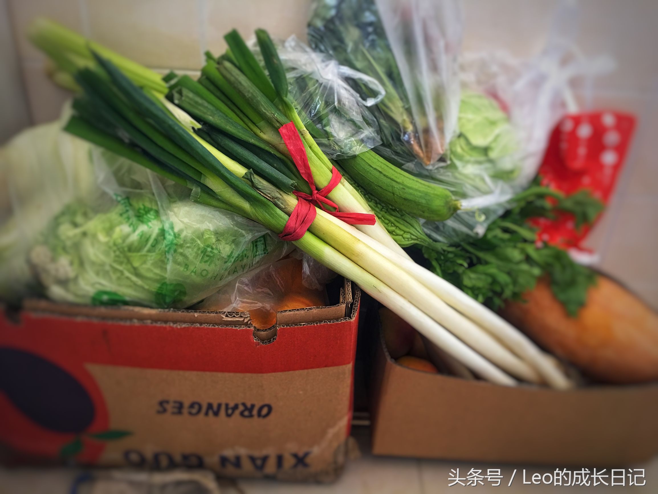 食品谣言根治方法,网络辟谣关于食物的十大谣言