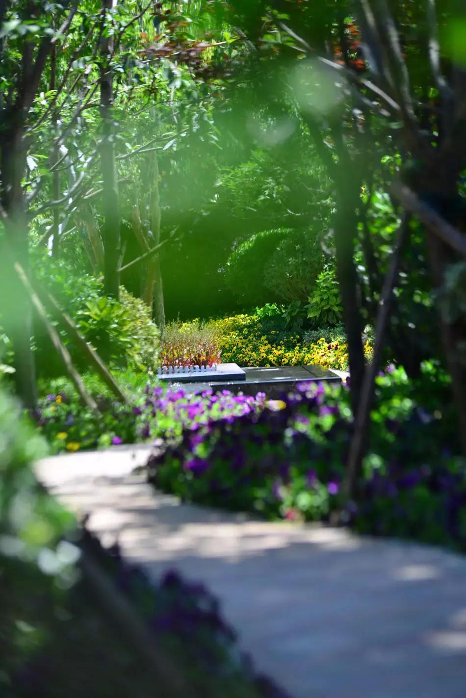 世航四合院户型图,世航四合院