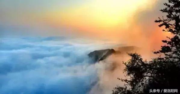 洛阳即将腾飞的县,2022年洛阳最发达的五个县