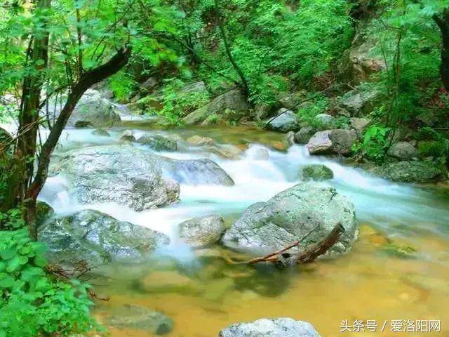 洛阳即将腾飞的县,2022年洛阳最发达的五个县