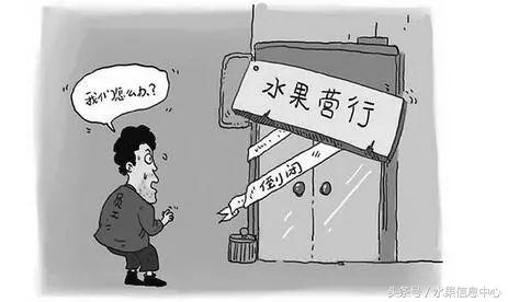 新手开水果店加盟哪个品牌好,开水果店加盟好还是自己拿货好