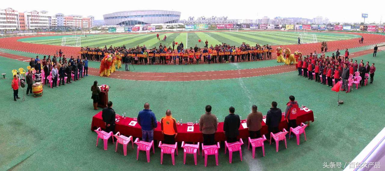 田阳足球队,田阳足球