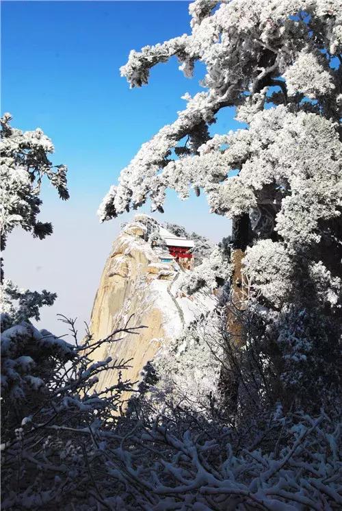 致学生*党**｜趁寒假来华山吧！