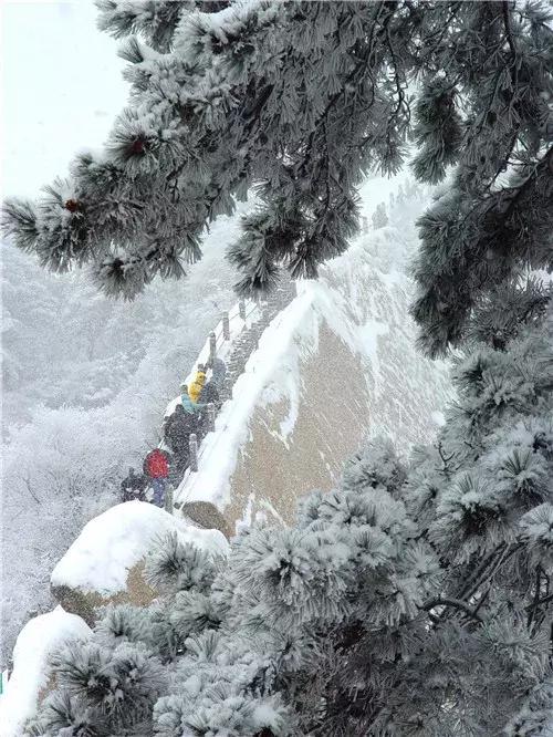 致学生*党**｜趁寒假来华山吧！