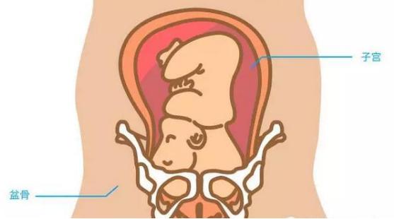 孕期这三个部位疼说明胎儿很健康,孕妈孕期躲不过的痛有哪些