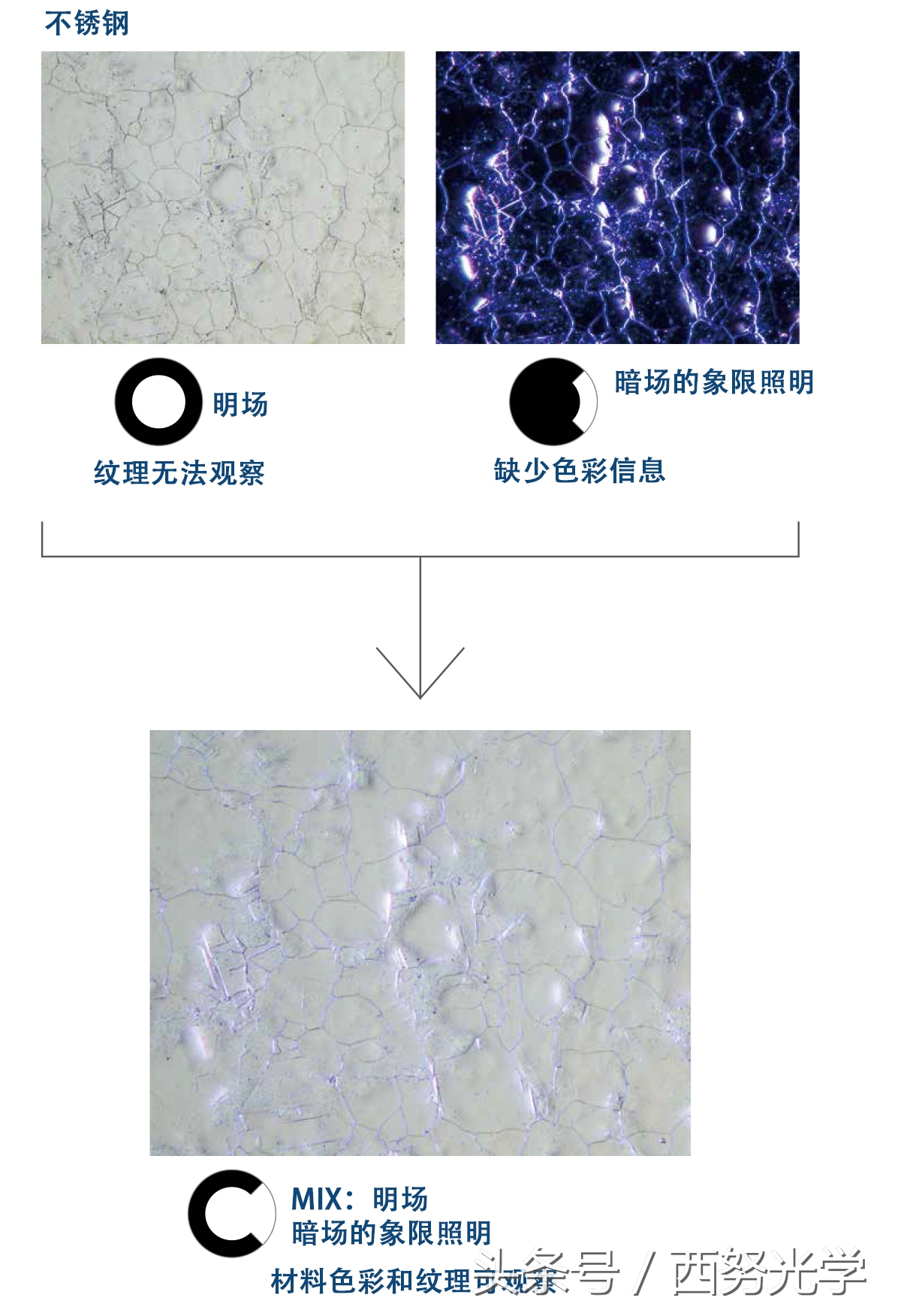 江苏常用奥林巴斯金相显微镜,金相光学显微镜解决方案