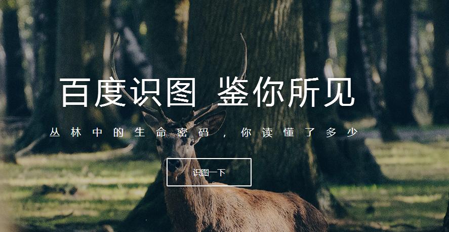 除了百度知道，百度还有这些小工具值得用！