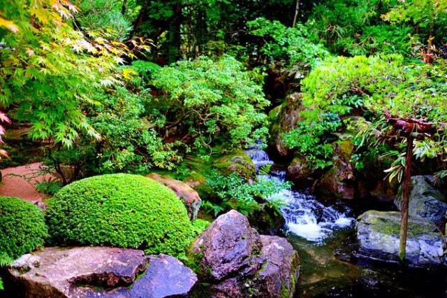 甯︿綘鍘绘棩鏈湅澶滄櫙,涓滀含甯︿綘娓歌鏃ユ湰缇庢櫙