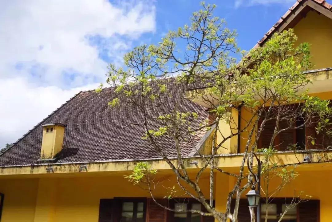 越南富国岛亲子游,越南哪里适合亲子游