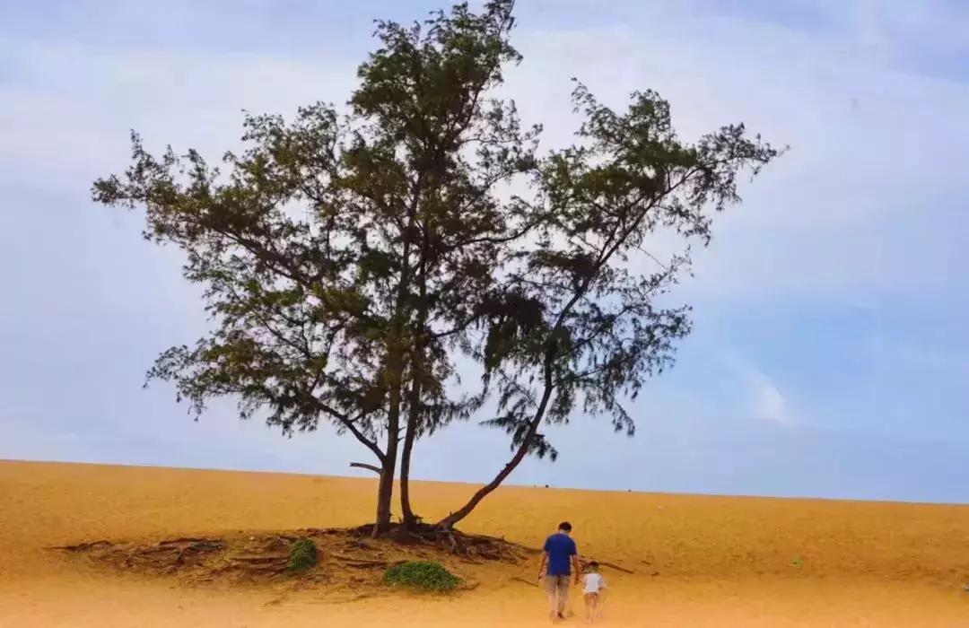 越南富国岛亲子游,越南哪里适合亲子游