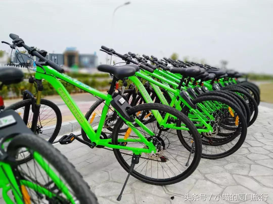 免费试骑！漳州双鱼岛迎来第一批共享山地自行车