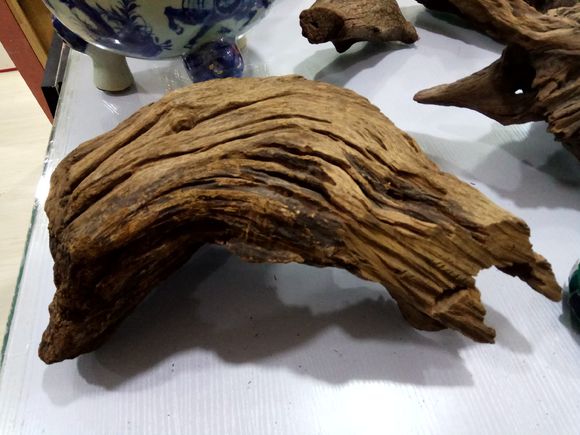 缸小养龟怎么造景,养龟小缸造景图片