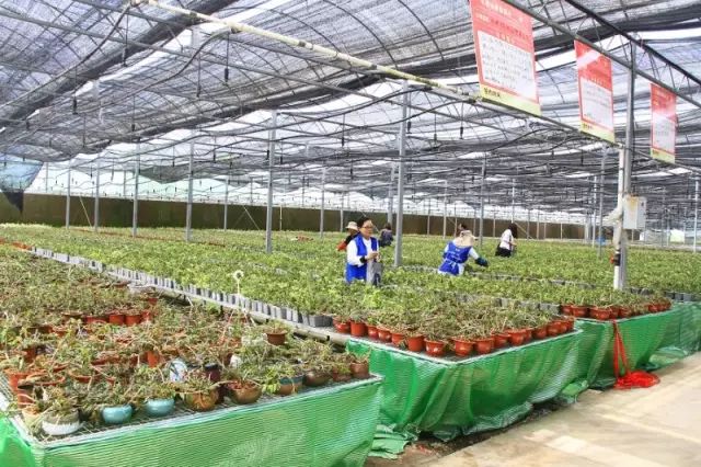 上海小众好玩的地方,上海闵行区小众景点