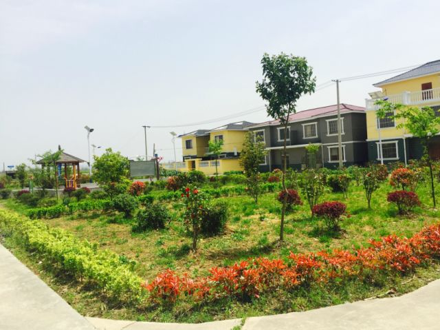 上海小众好玩的地方,上海闵行区小众景点