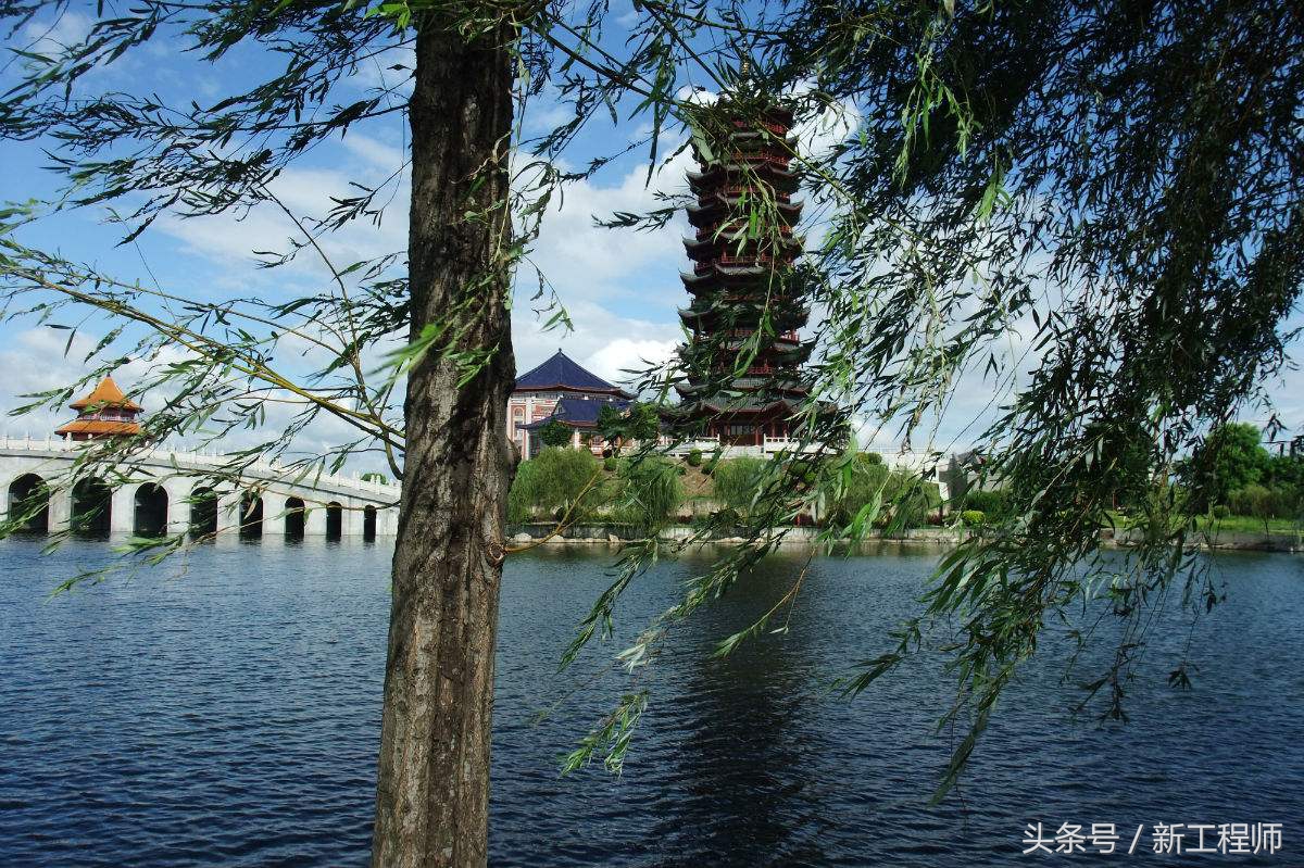 佛山人气最旺的美食城,佛山顺德特点美食城