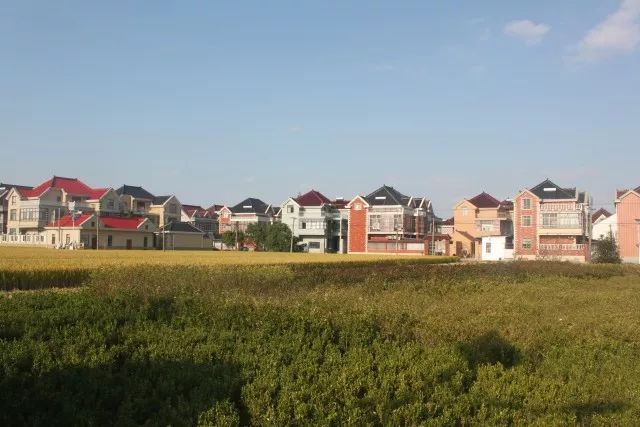 上海小众好玩的地方,上海闵行区小众景点