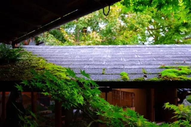 甯︿綘鍘绘棩鏈湅澶滄櫙,涓滀含甯︿綘娓歌鏃ユ湰缇庢櫙