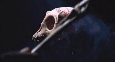 不是恐怖片却是童年阴影的电影,童年阴影恐怖电影