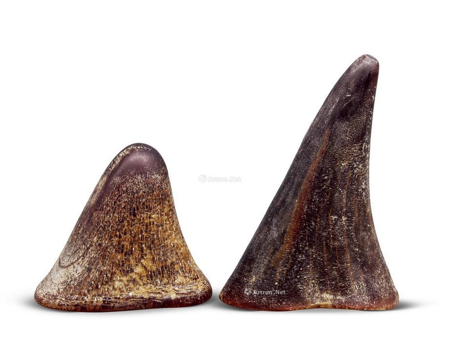 犀牛角拍卖记录不断刷新，随便一件可买一套房！现值多少钱一克？