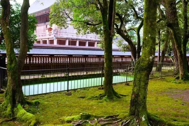 甯︿綘鍘绘棩鏈湅澶滄櫙,涓滀含甯︿綘娓歌鏃ユ湰缇庢櫙