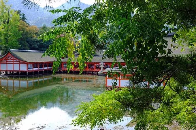 甯︿綘鍘绘棩鏈湅澶滄櫙,涓滀含甯︿綘娓歌鏃ユ湰缇庢櫙