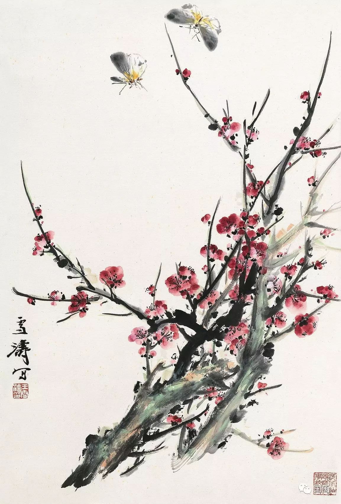 花鸟大师王雪涛画梅,王雪涛花鸟画图片梅花