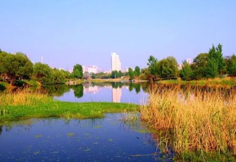 2019年郑州有什么大事,2020年郑州大事回忆