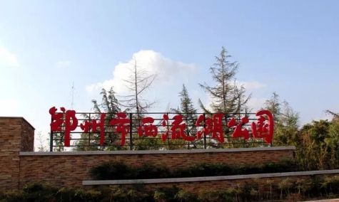 2019年郑州有什么大事,2020年郑州大事回忆