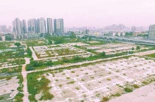 2019年郑州有什么大事,2020年郑州大事回忆