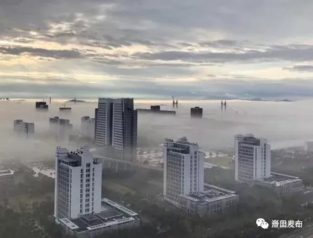 舟山一年四季天气变化,2017年舟山全年天气