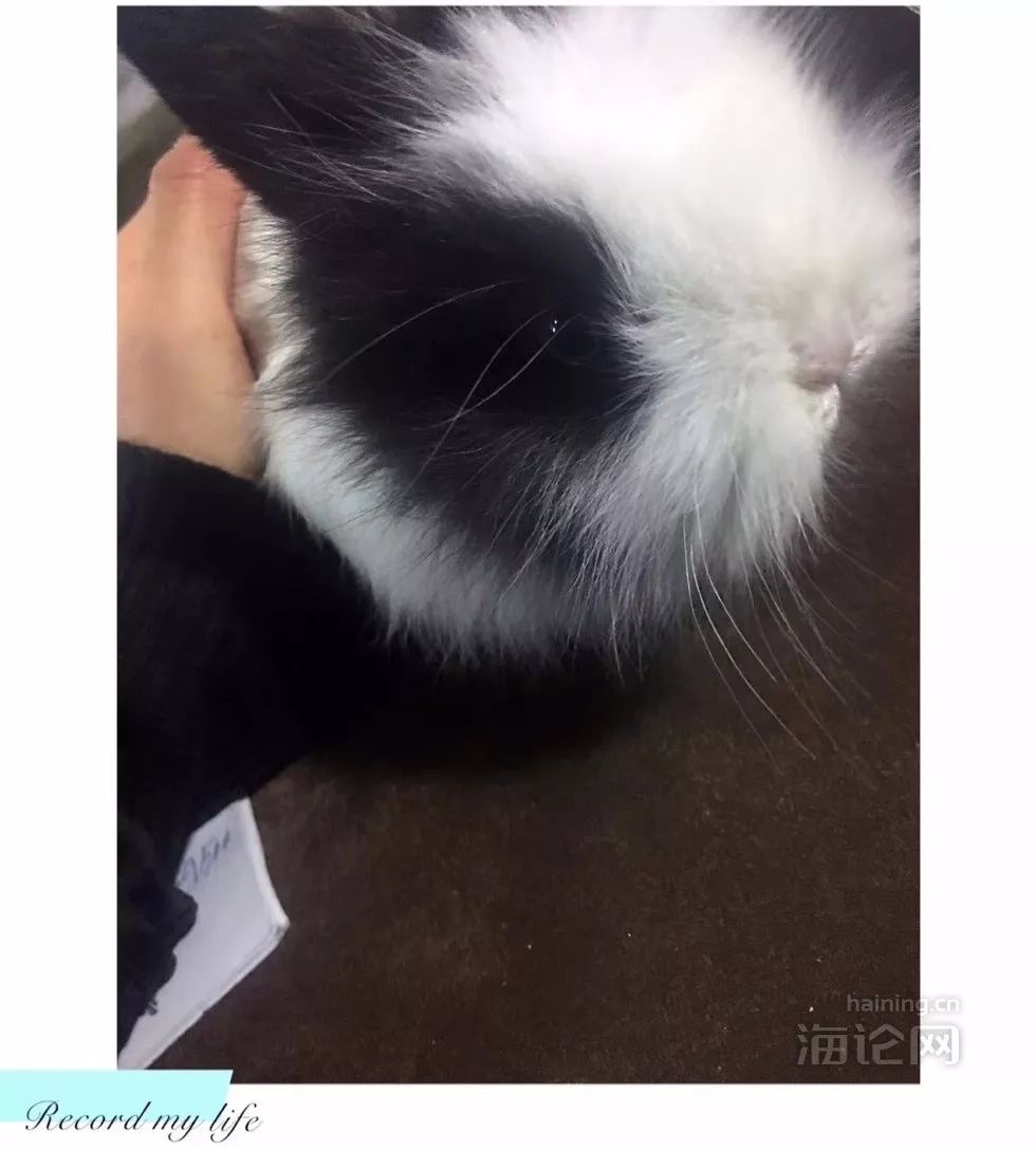 “我在银泰这家店买了只兔子，然后……”楼主哭了，网友却笑疯了，不过背后的这个问题还是要关注