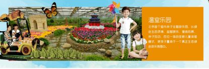 周末看花一日游,周末去哪玩一花一草一世界