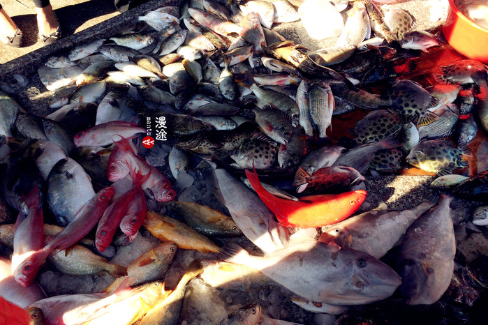 新年广州珠海长隆游记,广州珠海长隆澳门自由行攻略