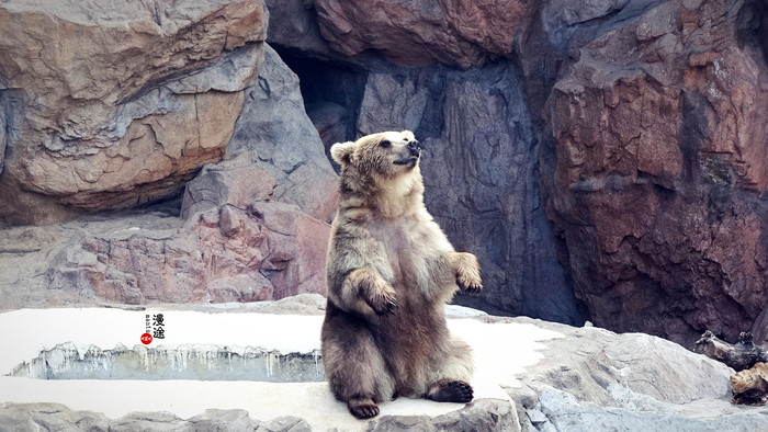 新年广州珠海长隆游记,广州珠海长隆澳门自由行攻略